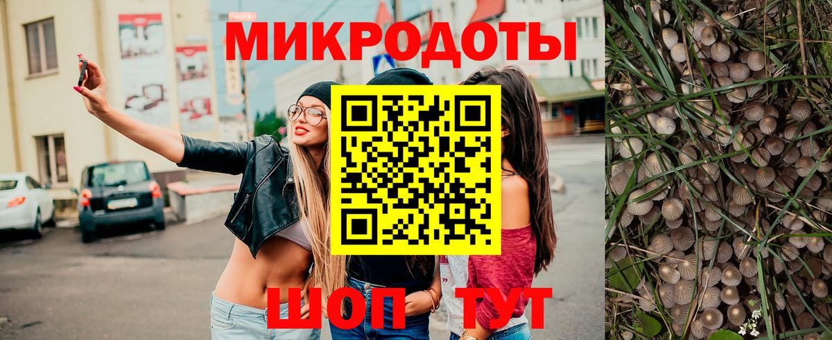 Дзержинск  цена   Вход с VPN  Псилоцибиновые грибы GOLDEN TEACHER 