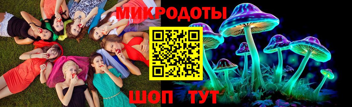 Псилоцибиновые грибы мицелий Дзержинск